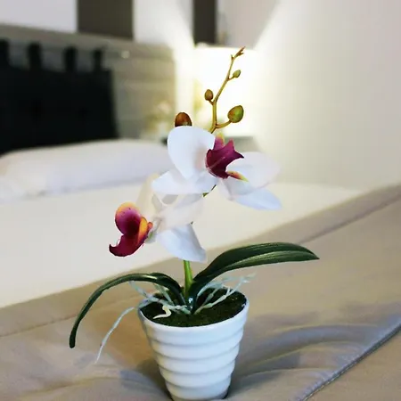 ベッド・アンド・ブレックファスト Beb Cuore Del Salento