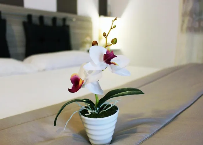 Bed & Breakfast Beb Cuore Del Salento